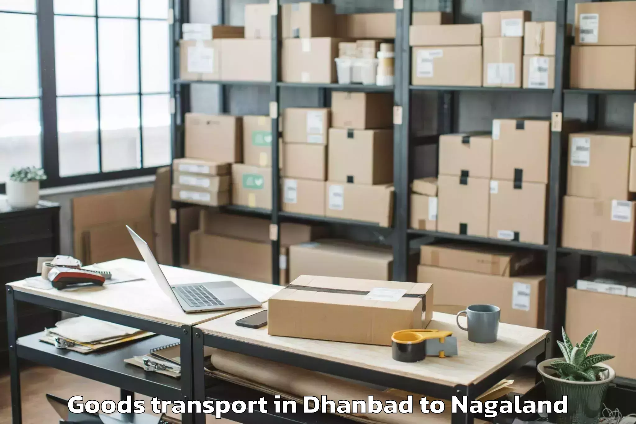 Easy Dhanbad to Kuhoboto Goods Transport Booking